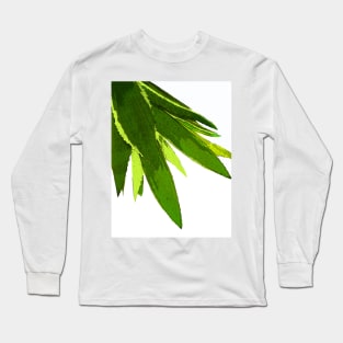 PALM LEAF GEEN TROPICAL ISLAND FOILAGE Long Sleeve T-Shirt